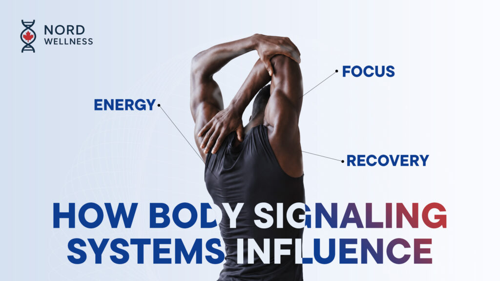 how-body-signaling-systems-influence-energy-focus-and-recovery