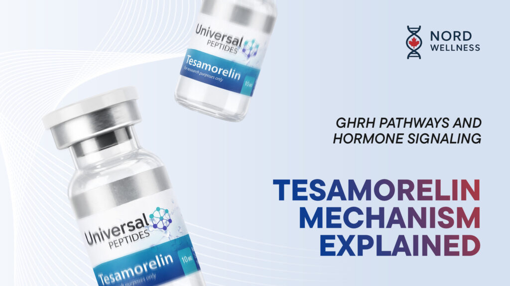 tesamorelin-mechanism-explained-ghrh-pathways-and-hormone-signaling