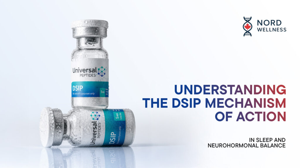 understanding-the-dsip-mechanism-of-action-in-sleep-and-neurohormonal-balance